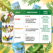 Load image into Gallery viewer, Pumpkin Patch Feast on the Fly