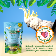 Load image into Gallery viewer, Parrot Food Super-Pack