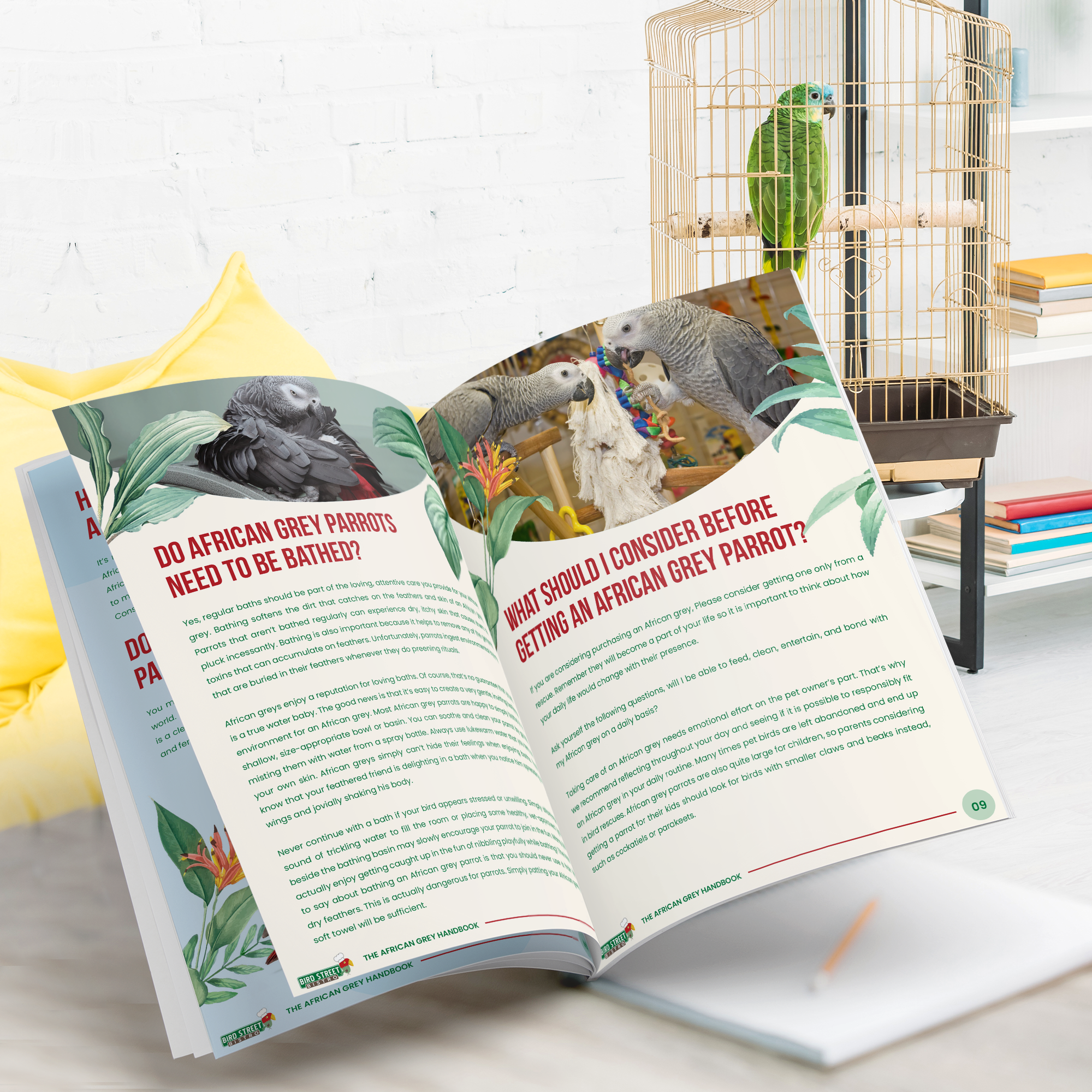 African Grey Parrot Handbook - E-Book
