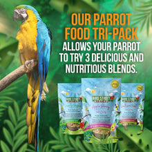 Load image into Gallery viewer, The Tri-Pack Sampler