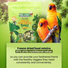 Load image into Gallery viewer, Green Goodness Boost - Parrot Veggies Mix