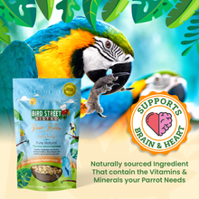 Load image into Gallery viewer, Bean Bistro Feast on the Fly