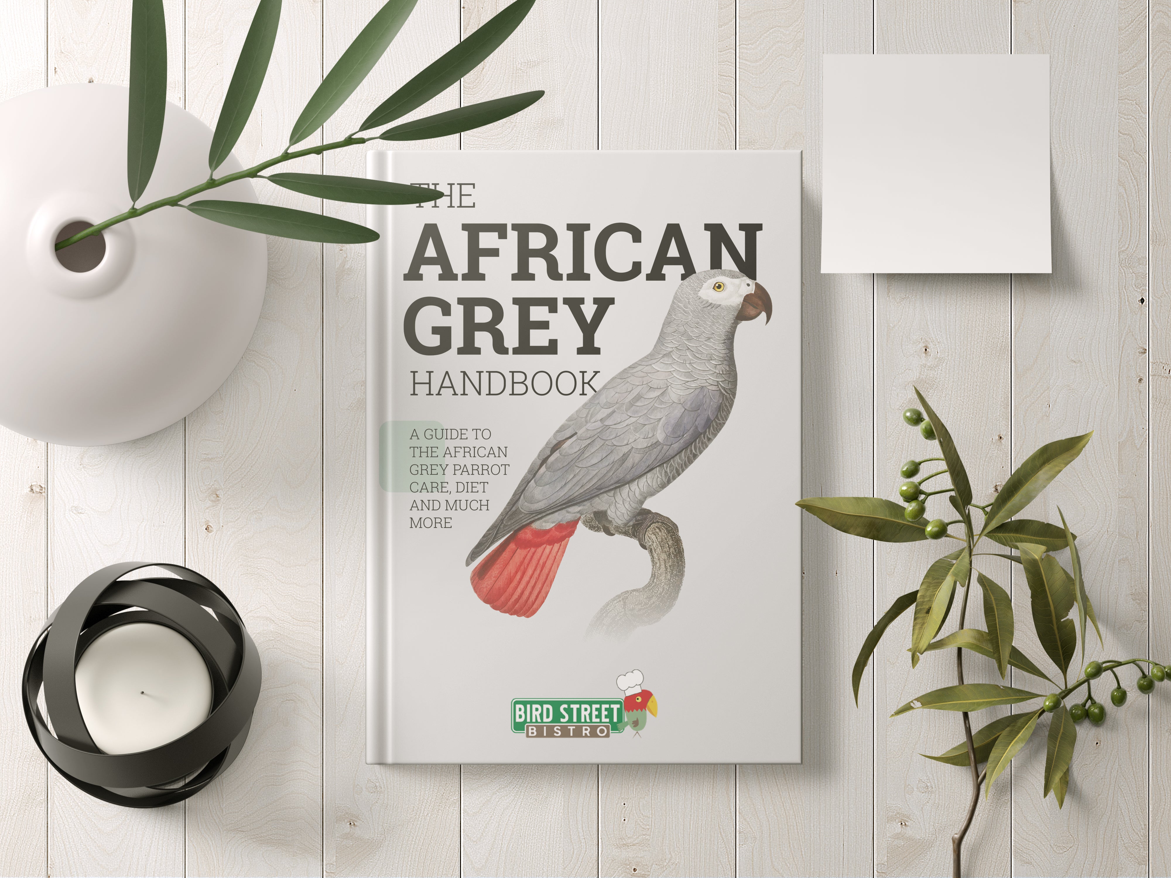 Buy Online High Quality African Grey Parrot Handbook - Ebook - Bird Street Bistro