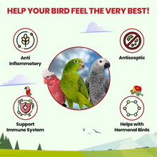 Load image into Gallery viewer, Rising Phoenix Parrot Tea