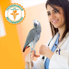 Load image into Gallery viewer, Buy Online High Quality Parrot Food Sample Pack - Bird Street Bistro