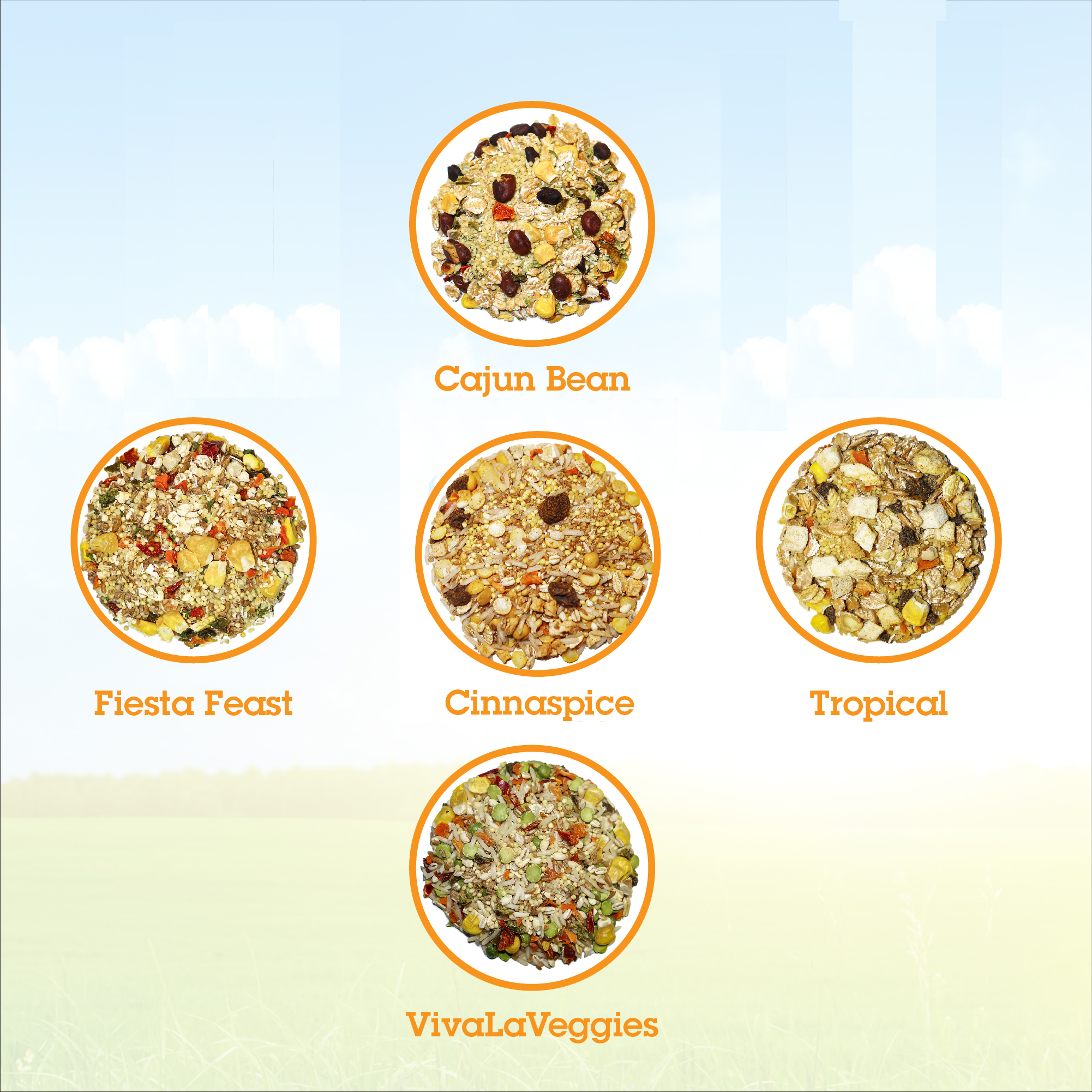 Buy Online High Quality Parrot Food Sample Pack - Bird Street Bistro