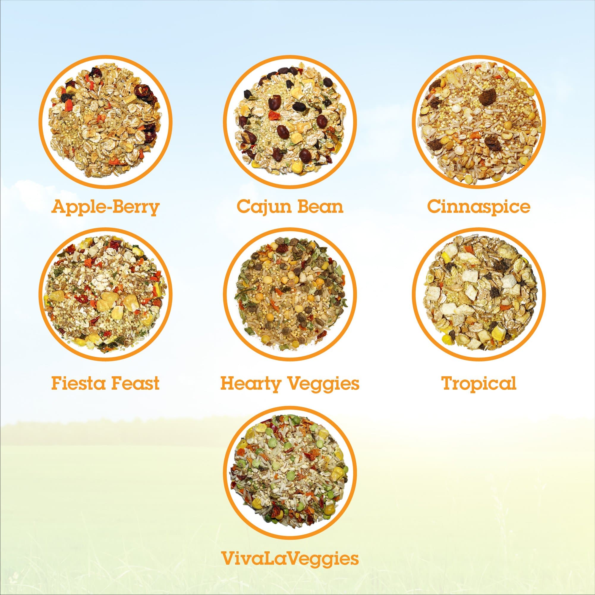 Buy Online High Quality Parrot Food Variety Pack - Bird Street Bistro