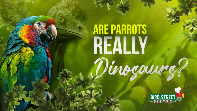 Are Parrots Really Dinosaurs?