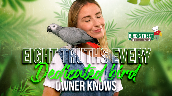 Eight Truths Every Dedicated Bird Owner Knows