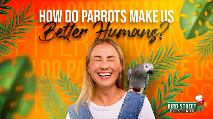 How Parrots Make us Better Humans