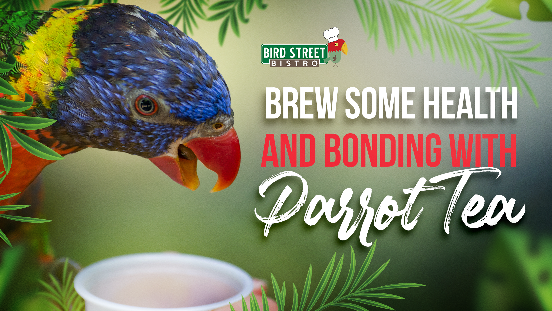 Brew Some Health and Bonding With Parrot Tea – Bird Street Bistro