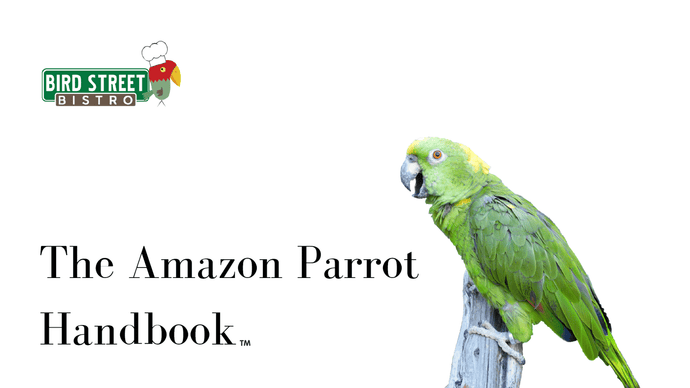 The Amazon Parrot Handbook