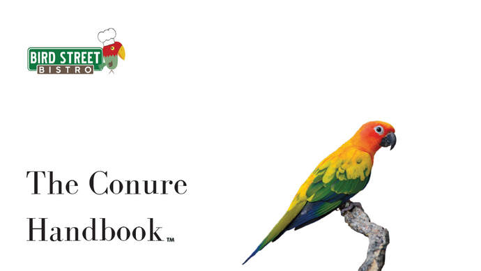 The Conure Handbook