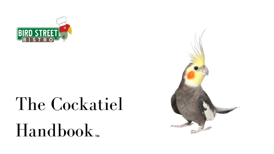 The Cockatiel Handbook