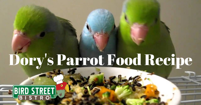 How do you make Homemade Parrot Mash Food Recipe