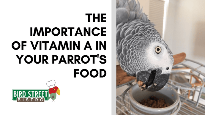 The Importance Of Vitamin A In Your Parrot's Food