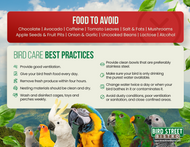 Parrot Care Fridge Magnet