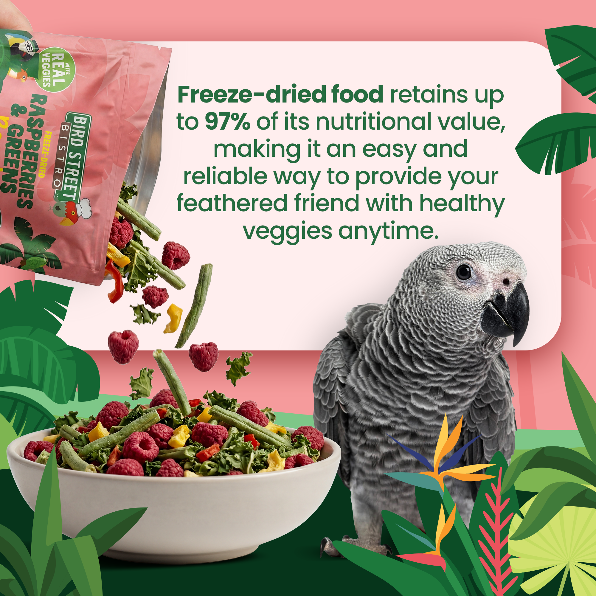 Raspberries & Greens Boost- Parrot Veggies Mix