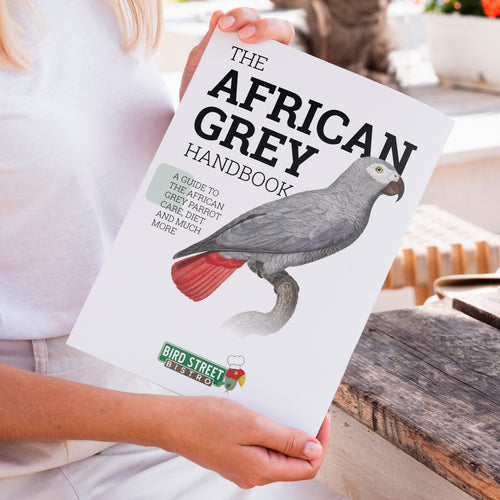 Buy Online High Quality African Grey Parrot Handbook - Ebook - Bird Street Bistro